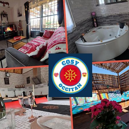 Le Cosy Occitan Villa Chaleureuse Independante Baignoire Terrasse Jardin Carcassonne Zewnętrze zdjęcie
