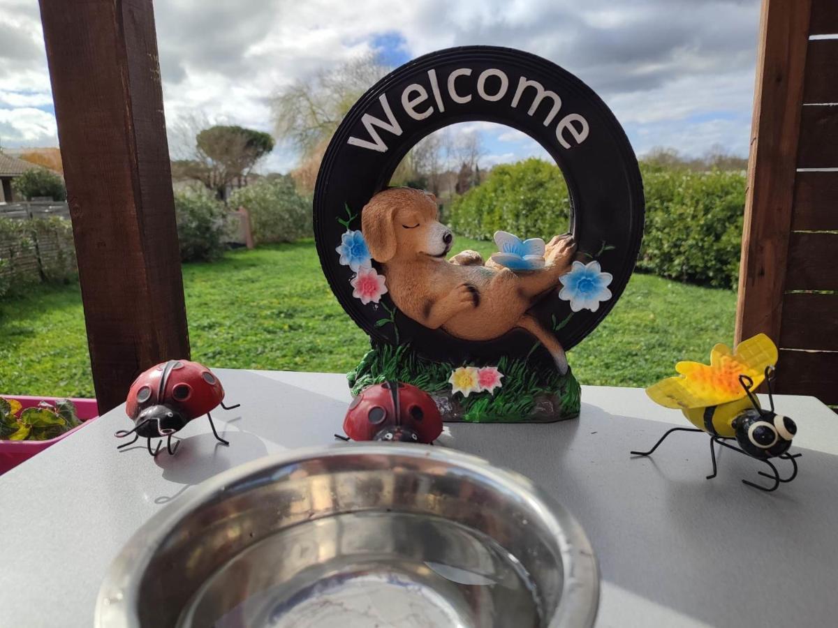 Le Cosy Occitan Villa Chaleureuse Independante Baignoire Terrasse Jardin Carcassonne Zewnętrze zdjęcie