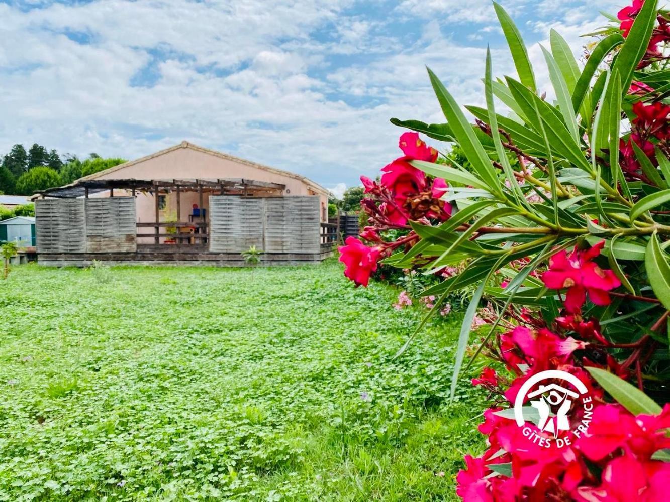 Le Cosy Occitan Villa Chaleureuse Independante Baignoire Terrasse Jardin Carcassonne Zewnętrze zdjęcie